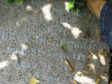 image of grave number 366021